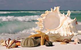The SEA